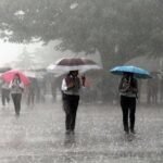 छत्तीसगढ़ में अब तक 1095.1 मि.मी. औसत वर्षा दर्ज, जानें किस जिले में हुई सबसे अधिक बारिश…