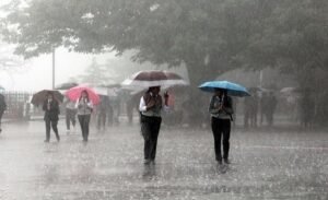 rajasthan-rain-77_5-730x445