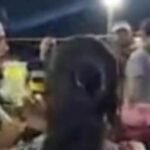 Chhattisgarh | युवतियों ने युवक की लात-घूंसे और थप्पड़ से की पिटाई, जानिए मामला