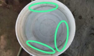 IMG-20240813-WA0031