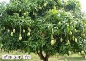 WhatsApp Image 2024-08-10 at 7.2
