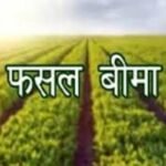 Chhattisgarh | ऋणी किसान अब 25 अगस्त तक करा सकेंगे फसल बीमा