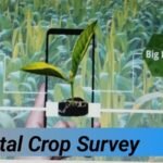 पहली बार फील्ड में डिजीटल क्रॉप सर्वे हुआ प्रारंभ, राज्य में बलौदाबाजार तहसील का हुआ है चयन