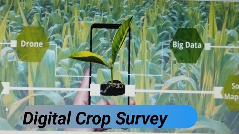 पहली बार फील्ड में डिजीटल क्रॉप सर्वे हुआ प्रारंभ, राज्य में बलौदाबाजार तहसील का हुआ है चयन