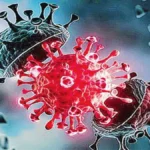 Corona Update : रायपुर में मिले कोरोना के 5 नए मरीज, CMHO ने कहा – कोविड के लक्षण दिखने पर तुरंत इलाज कराएं.