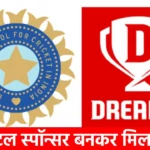 Online Gaming Bill: BCCI का टाइटल स्पॉन्सर बनकर ‘डूब’ गई ये 5 बड़ी कंपिनयां! अब ड्रीम 11 का क्या होगा?