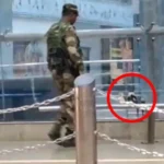 Raipur Airport में लावारिस बैग मिलने से मचा हड़कंप